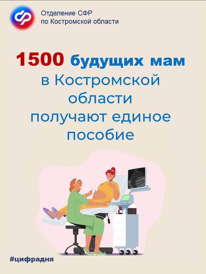 беременные (1).jpg