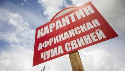 загруженное.jpg