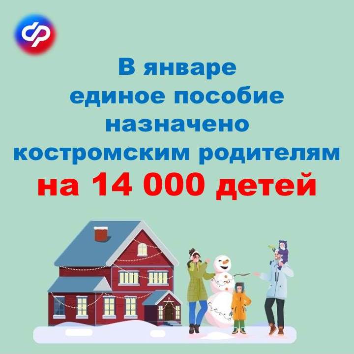 ЕП_итог января.jpg