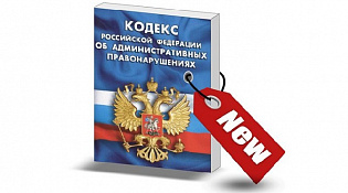 Об установлении ответственности для владельцев домашних животных