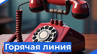 Открыта новая горячая линия по вопросам благоустройства