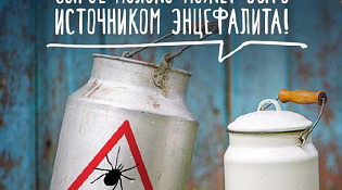 Клещевые инфекции – болезни, передаваемые человеку и животным при укусах клещей