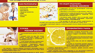 Профилактика гриппа