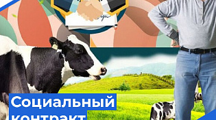 Социальный контракт помогает гражданам, попавшим в сложную жизненную ситуацию