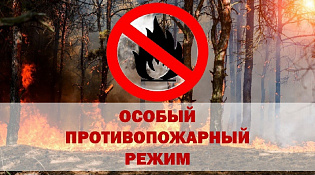 С сегодняшнего дня в Шарье и Шарьинском районе введен особый противопожарный режим