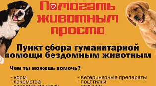  ПОМОГАТЬ ЖИВОТНЫМ ПРОСТО