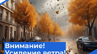 В Костромской области прогнозируется сильный ветер