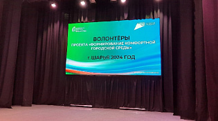 С заботой о своем городе: на базе ККЦ «Ветлужский» прошло обучение волонтёров для участия в проекте «Формирование комфортной городской среды»