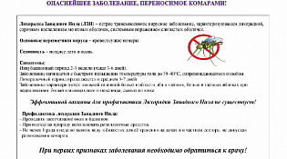 Профилактика и симптомы Лихорадки Западного Нила (ЛЗН) (01.06.2022)