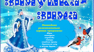 Новогодняя развлекательно-игровая программа "Зимушка,Зима"