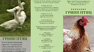 Осторожно! Грипп птиц