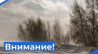 В Костромской области ожидается усиление ветра до 17 метров в секунду