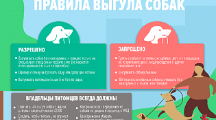 Правила выгула собак