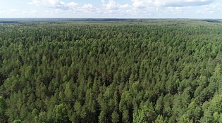 В Костромской области отменен особый противопожарный режим