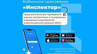 Мобильное приложение «Инспектор»