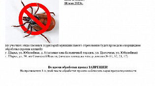 Внимание! Акарицидная обработка