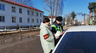 Члены добровольной народной дружины и автоинспекторы проводят рейдовые мероприятия  по контролю за соблюдением водителями правил перевозки детей