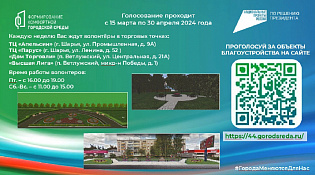 Голосование по благоустройству продолжается...