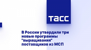 В России утвердили три новые программы "выращивания" поставщиков из МСП
