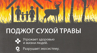 Пал сухой травы - преступление