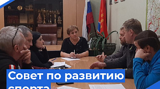 Заседание координационного совета по развитию физической культуры и спорта