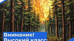Костромская область усиливает контрольные мероприятия в лесах