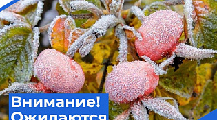 В Костромской области прогнозируются заморозки