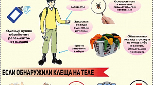 Управление Роспотребнадзора по Костромской области напоминает об опасности укуса клеща